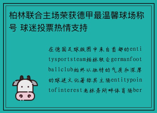 柏林联合主场荣获德甲最温馨球场称号 球迷投票热情支持